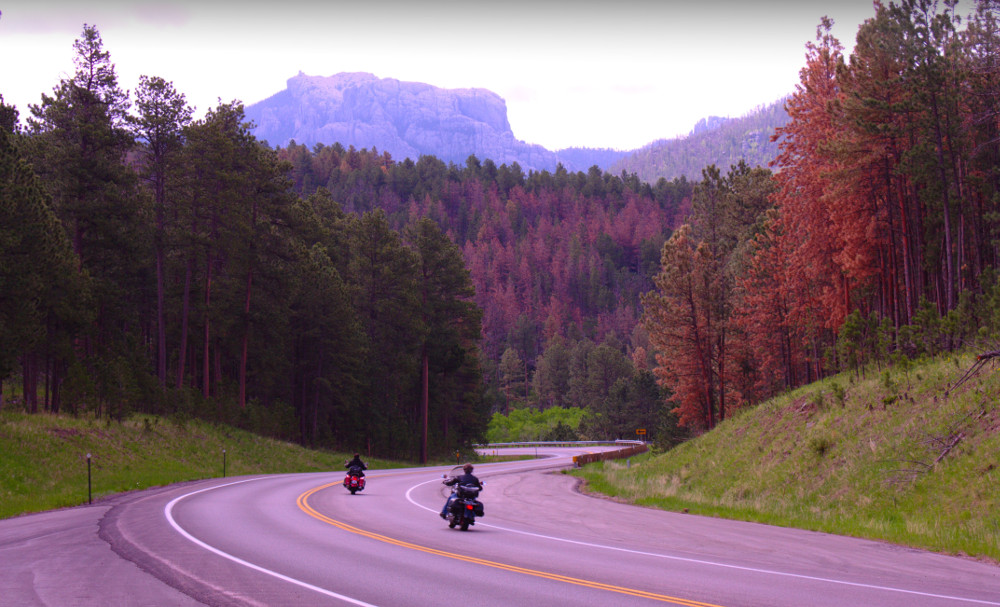 Bikers on road near Rushmore