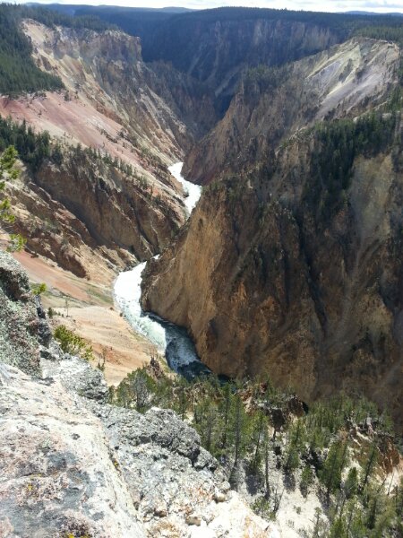 Photo of a canyon in Yellowstone