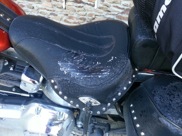 Frost on motorcycle seat