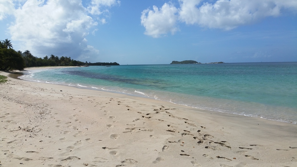 The beach outside the animal hospital