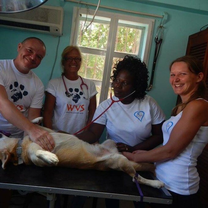Appeal for donations for Carriacou Animal Hospital