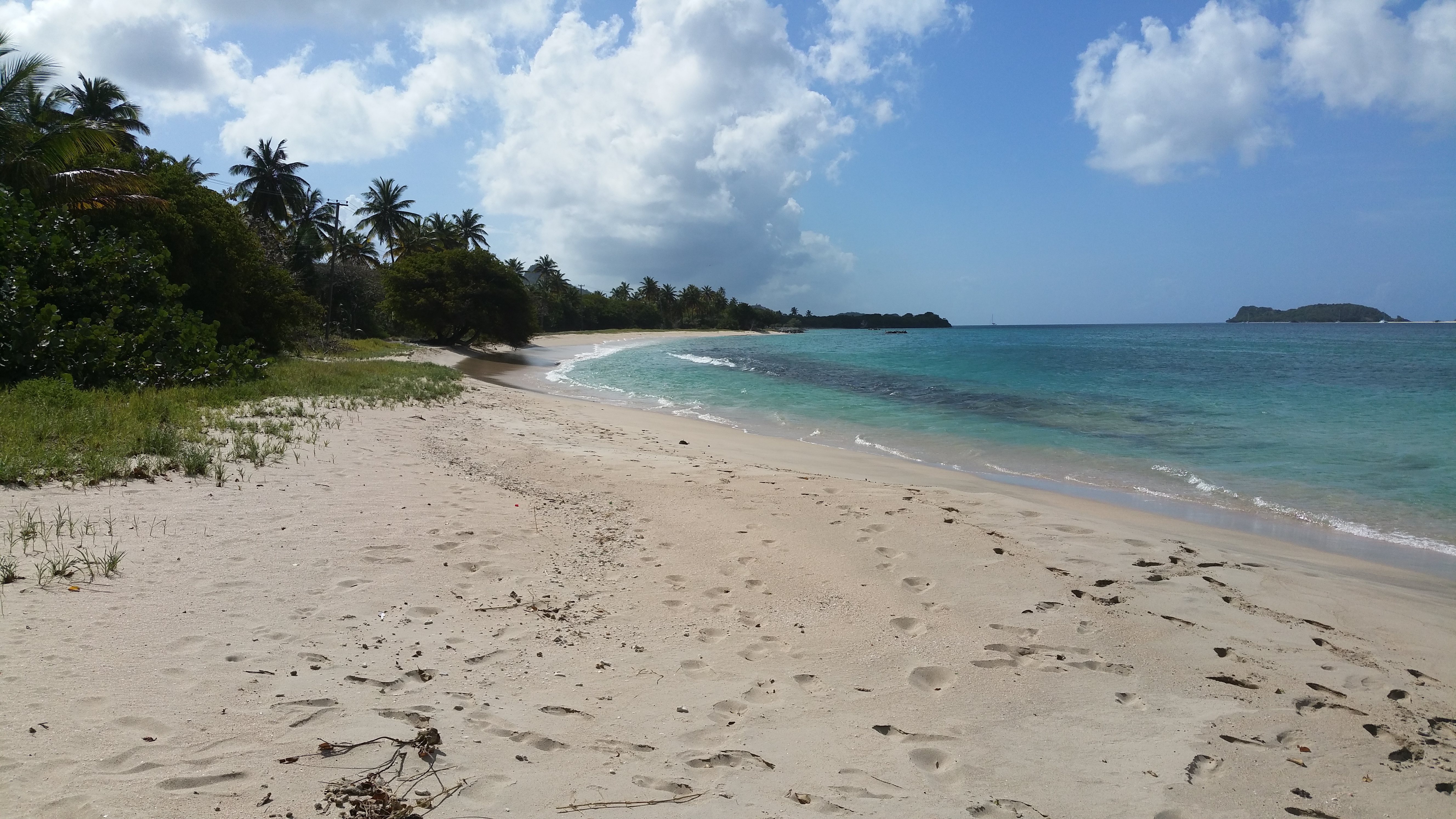 The beach literally outside the vet hospital