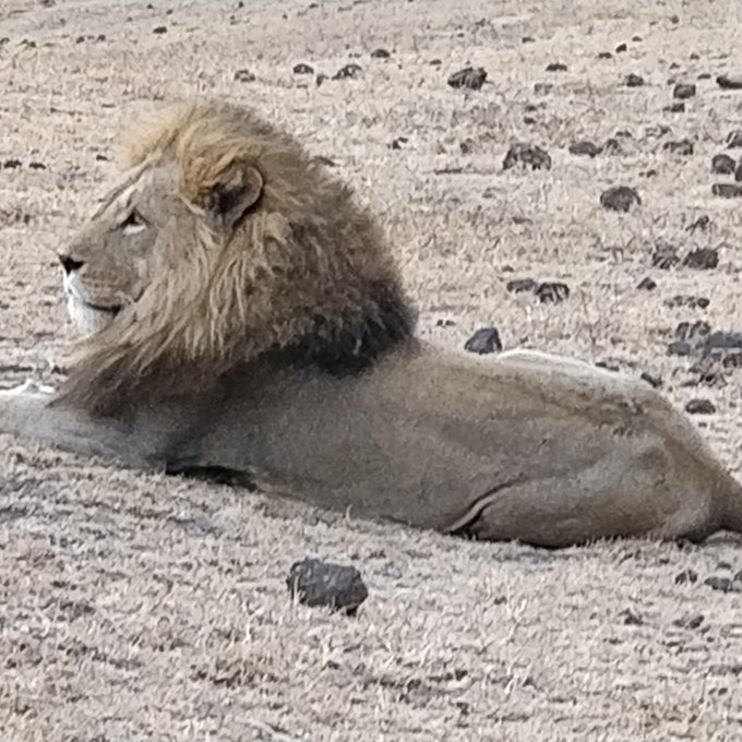 Day 7: Ngorongoro Crater / Mto Wa Mbu