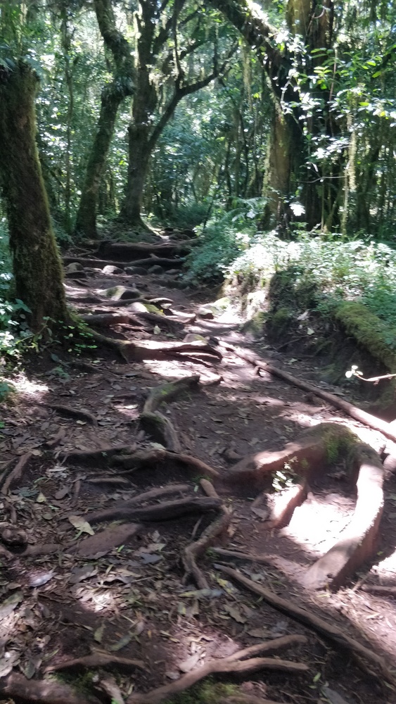 A view of the path from Kinapa to Mandara