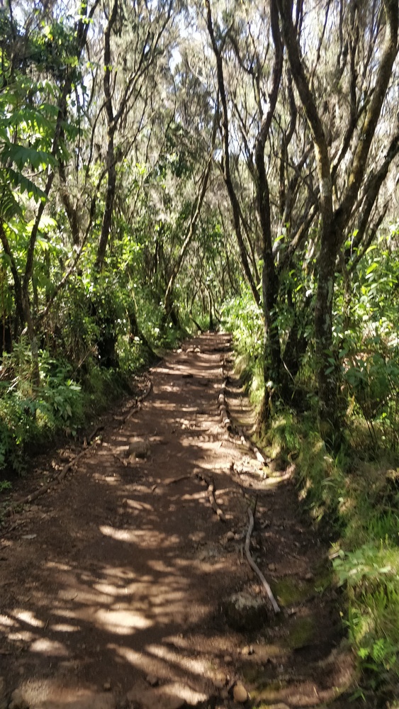 A view of the path from Kinapa to Mandara