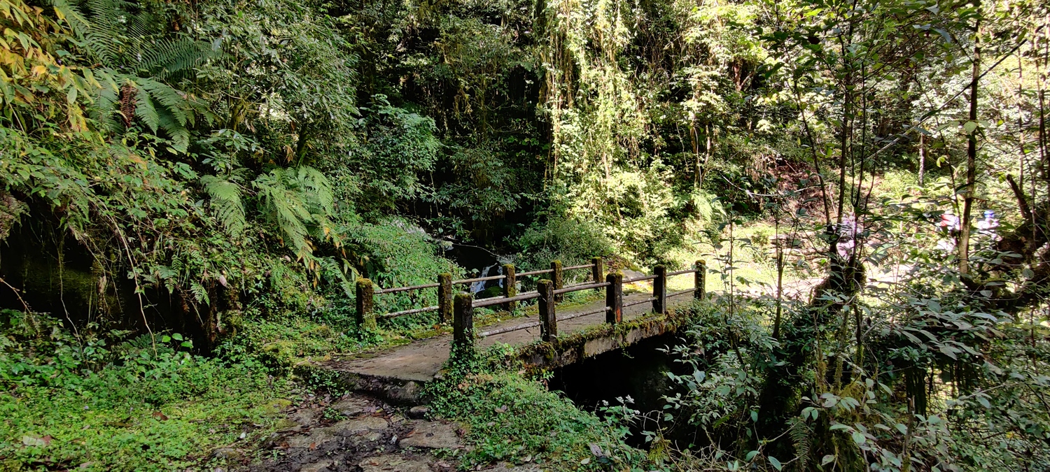 Trail from Ulleri to Ghorepani