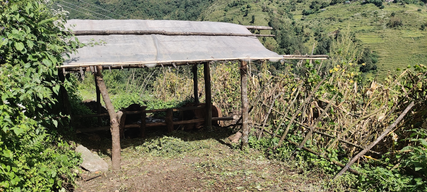 Simple barn where livestock is kept