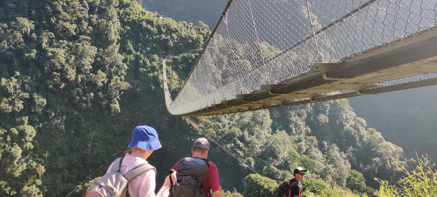 The Kadoorie bridge