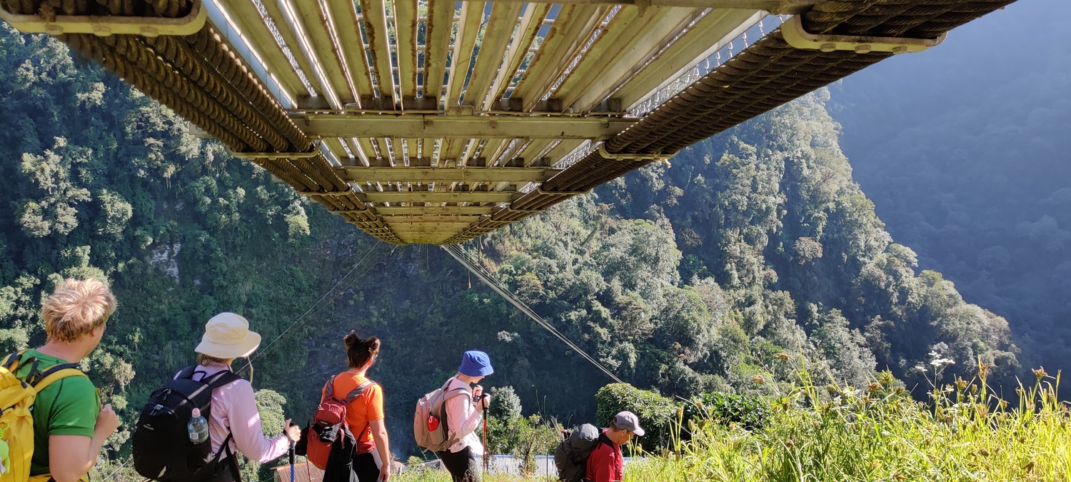 The Kadoorie bridge