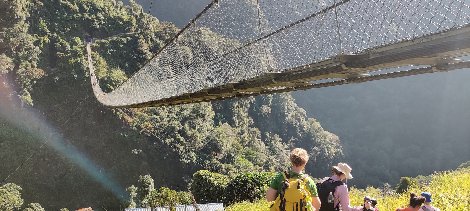 The Kadoorie bridge