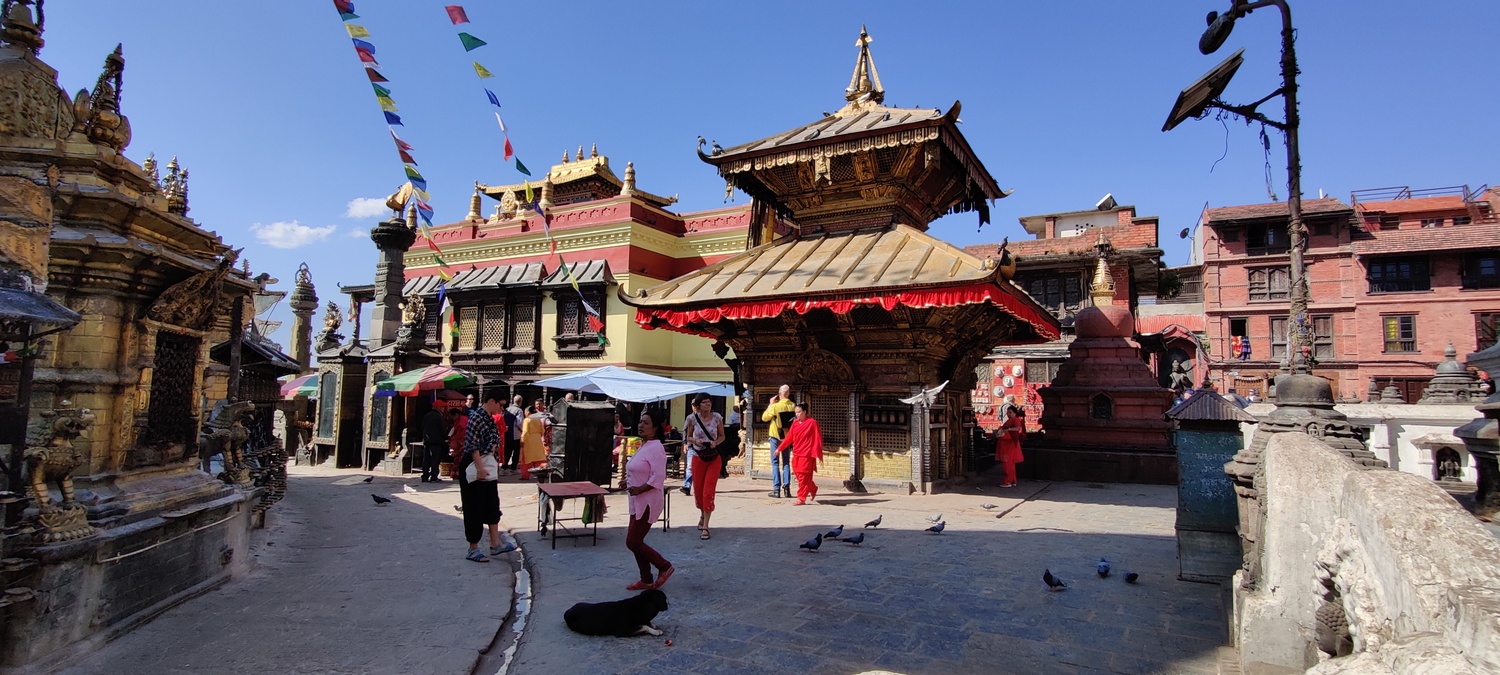 Swayambhu (Monkey temple)