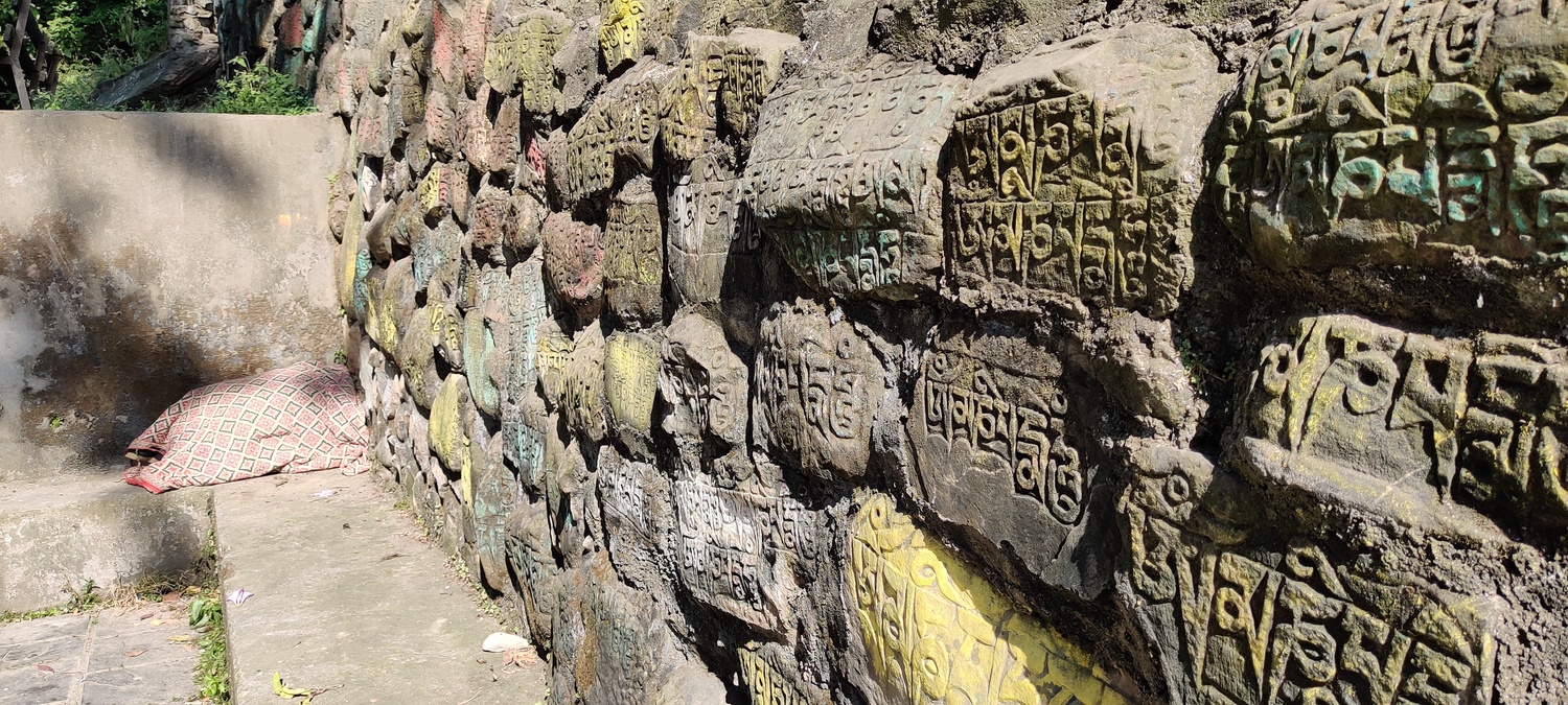 Swayambhu (Monkey temple)